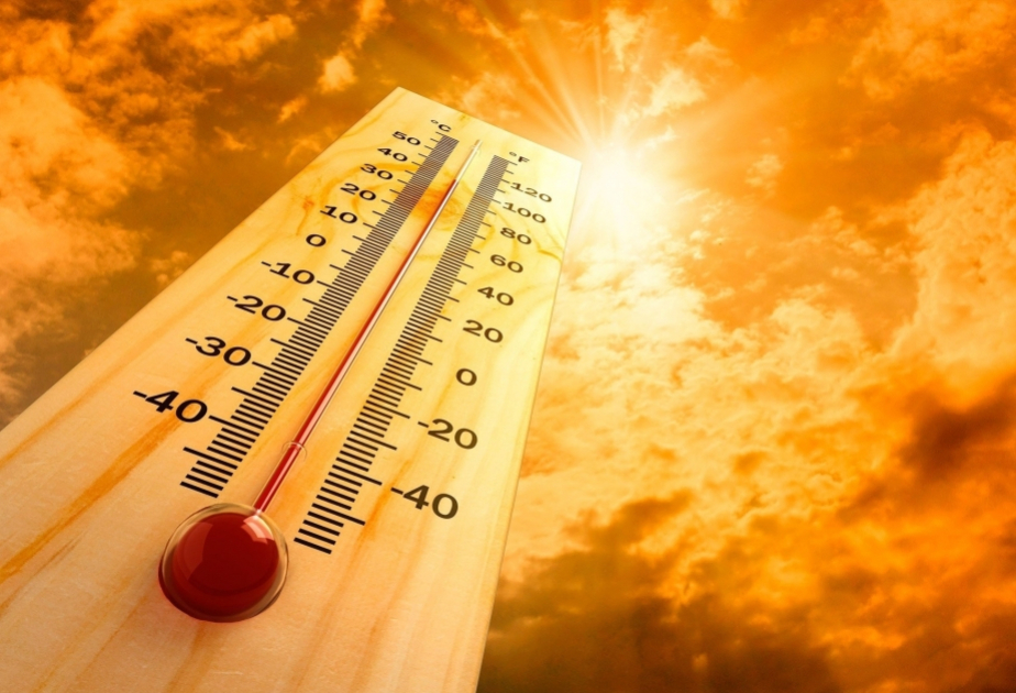 Klimakrise: Zwölfter Monat in Folge weltweite Rekordtemperatur gemessen