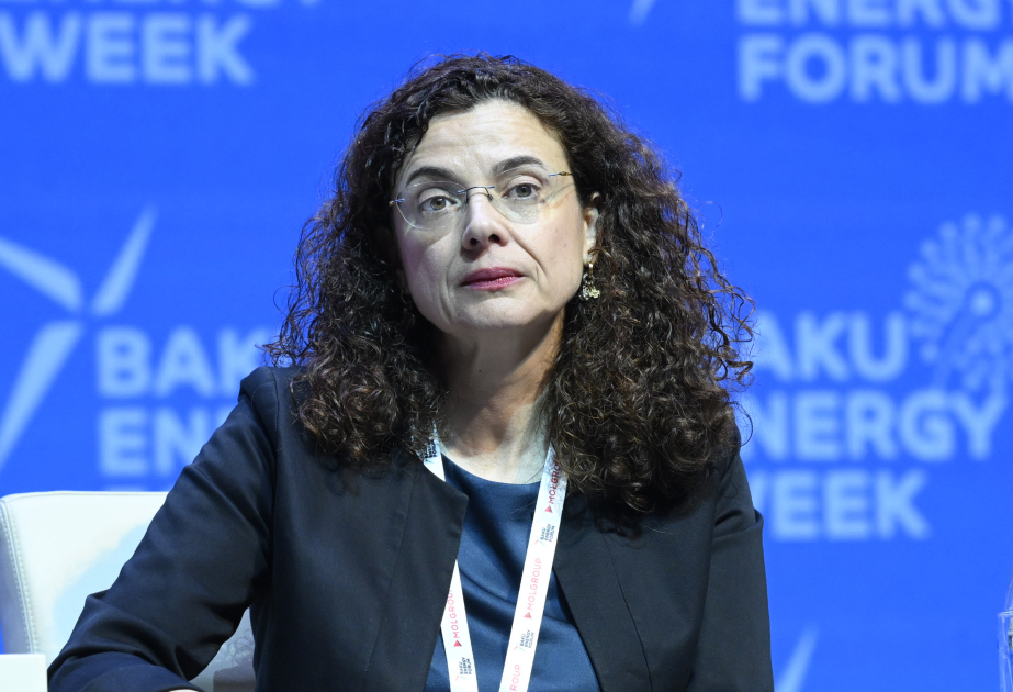 Belçika şirkəti: Yaşıl hidrogenin rolunun iqlim hərəkatında gücləndirilməsi COP29-un əsas amillərindən olacaq