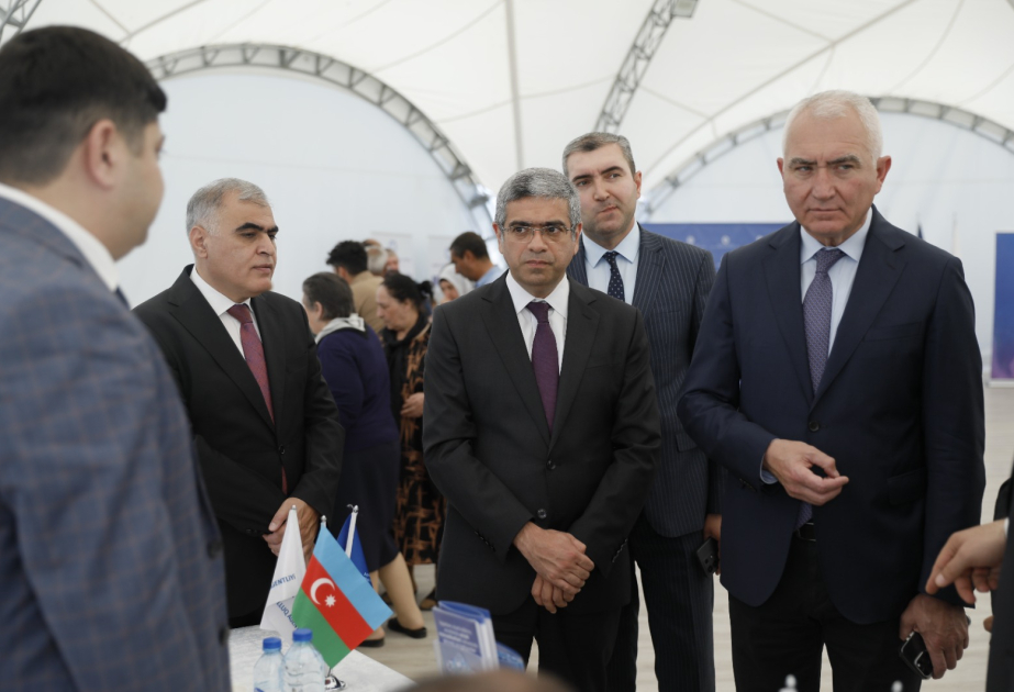 Laçında işaxtaranlara 335 vakansiya təklif olunub VİDEO