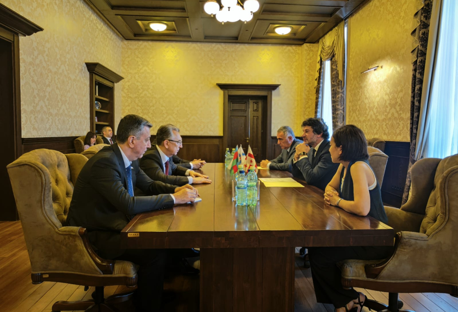 Se discuten las perspectivas de desarrollo de los lazos entre Bakú y Tiflis