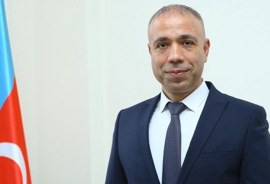 Dünyada iqlim böhranının həllinə COP29 çərçivəsində töhfə vermək Azərbaycanın milli maraqlarına xidmət etməyin ən uğurlu yoludur
