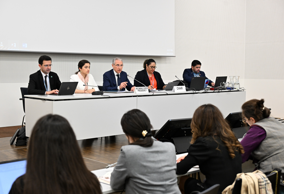 COP29 sədri Bonnda SIDS üzrə danışıqlar qrupu ilə görüşüb
