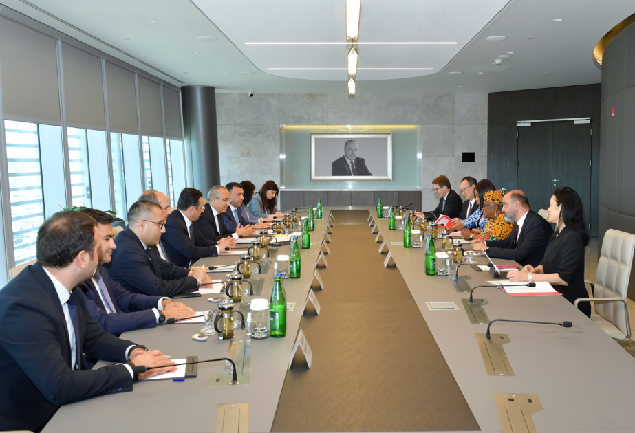 El Ministro de Economía de Azerbaiyán discutió con la jefa de la OMC el proceso de adhesión de Azerbaiyán a la organización