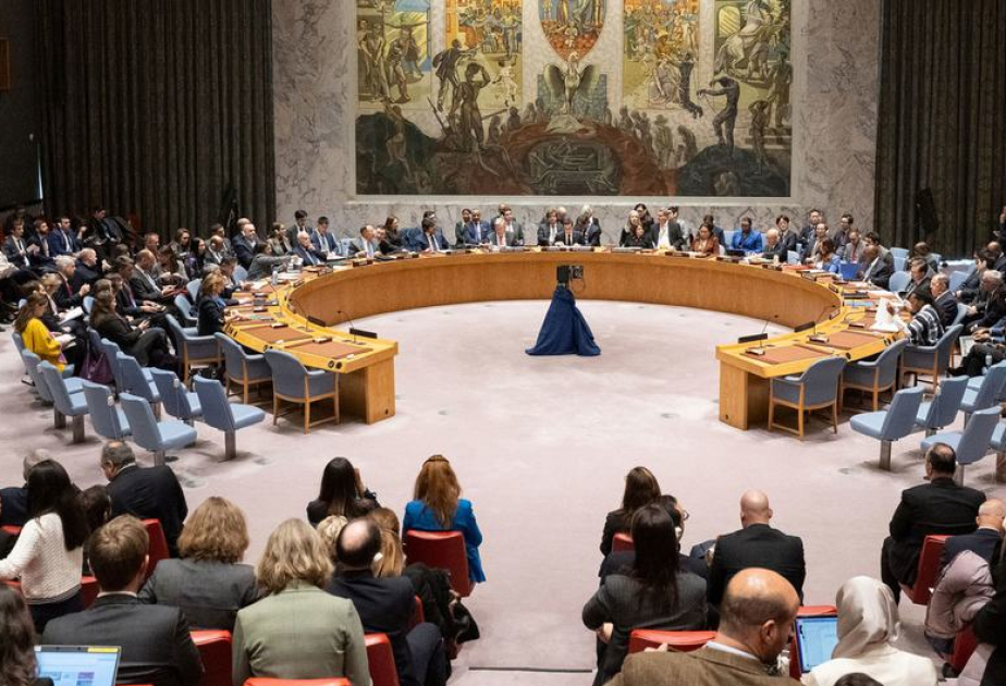 Denmark, Greece, Pakistan, Panama, Somalia elected non-permanent members of UN Security Council
