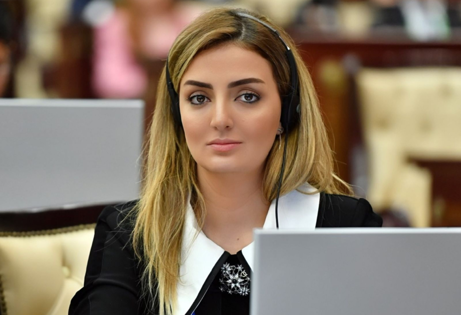 Deputat: Ermənistan anlamalıdır ki, sülh müqaviləsi üçün konstitusiyasına dəyişiklik etməli, revanşizmə son qoymalıdır