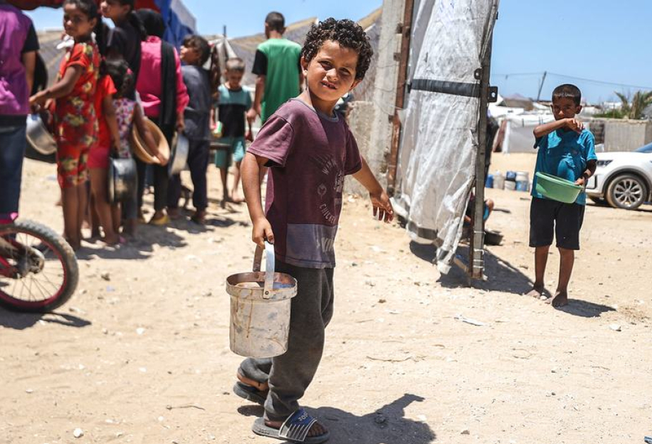 اليونيسف: يعيش 181 مليون طفل في العالم في حالة فقر غذاء الأطفال الشديد في مرحلة الطفولة المبكرة