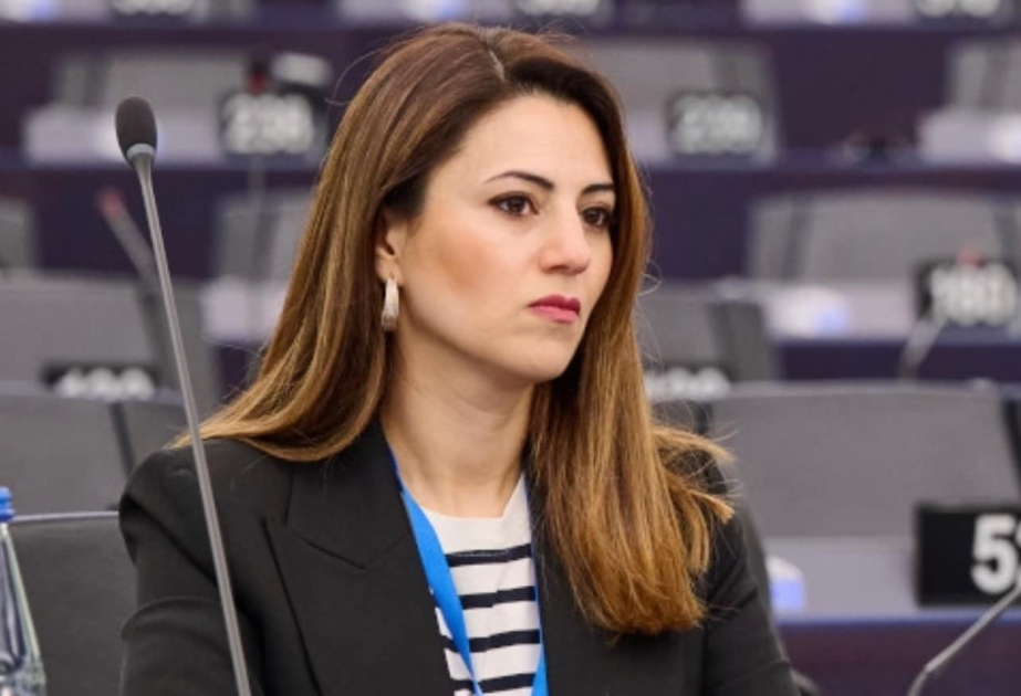 Türk birliyinin qlobal gücə çevrilməsi yolunda önəmli addımlar atılır  ŞƏRH