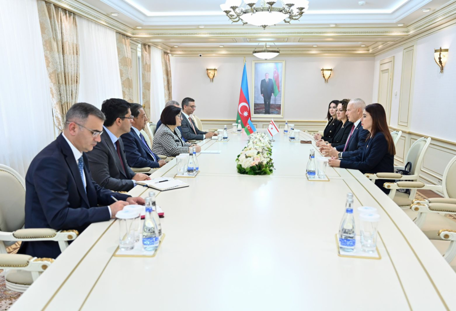 Azərbaycanın və Şimali Kiprin qanunverici orqanları arasında əlaqələr müzakirə edilib
