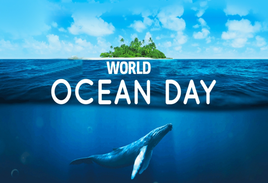 L'ONU lance un appel à l'occasion de la Journée mondiale de l'océan