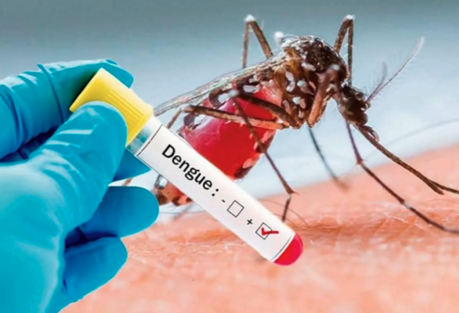 Argentina sees over half million dengue cases in 2024