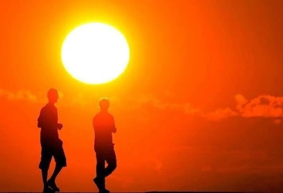 A year of unprecedented heat: What does the future hold?