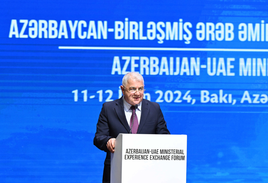Nazir müavini: Azərbaycan dünyanın prioritet qəbul etdiyi “yaşıl keçid” platformasının da əsas iştirakçılarındandır