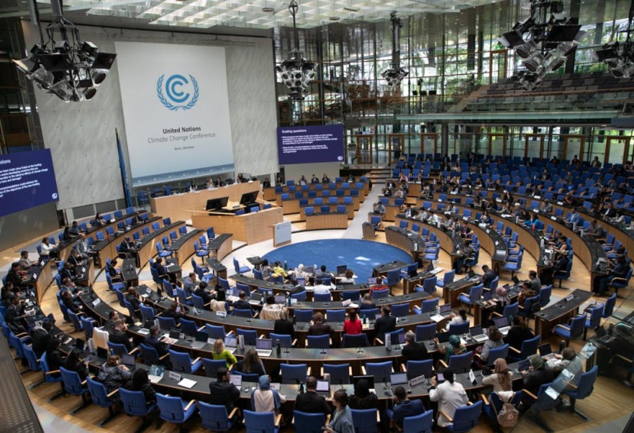 На конференции ООН об изменении климата группа иностранных НПО выступила с заявлением по Азербайджану