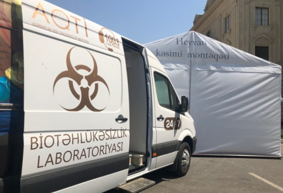 Объявлены адреса мест продажи и забоя животных в дни Гурбан байрамы