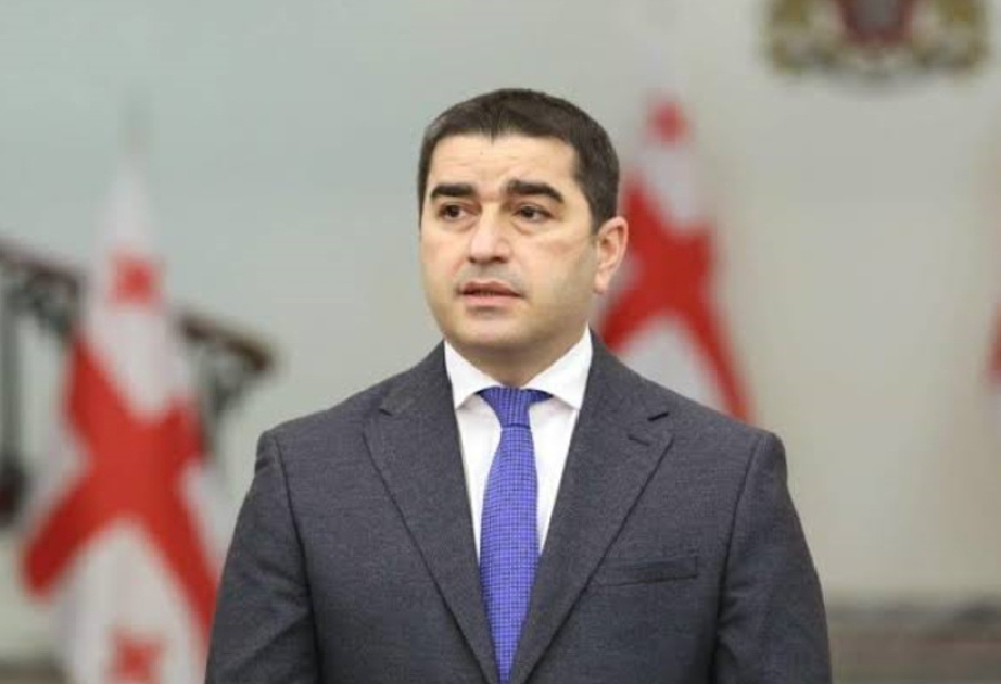رئيس برلمان جورجيا: بعض المنظمات غير الحكومية الممولة من الغرب تهدد نواب البرلمان وما تلك سوى حملة الإرهاب السياسية باسم أوروبا