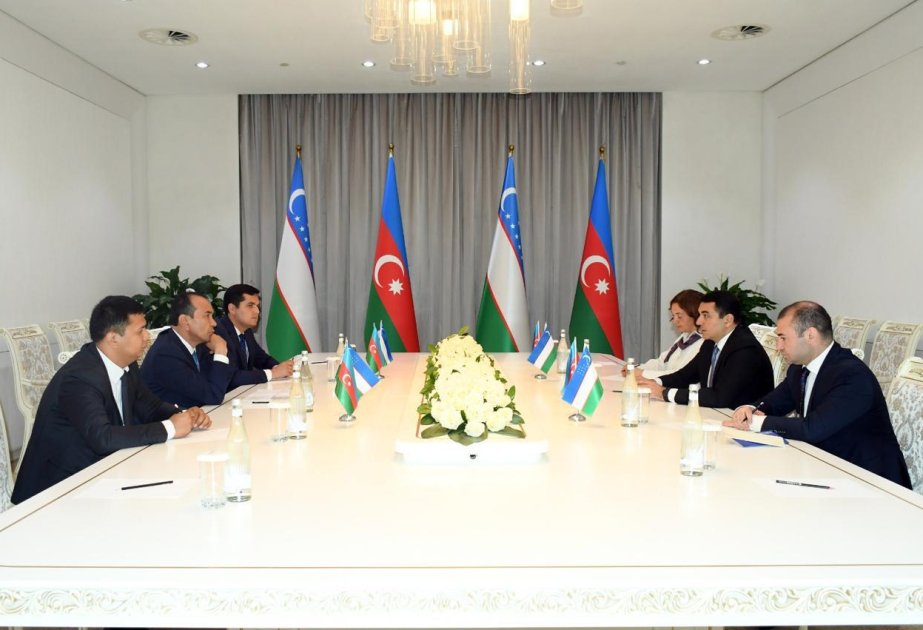Azərbaycan və Özbəkistanın mədəniyyət nazirləri Daşkənddə görüşüb