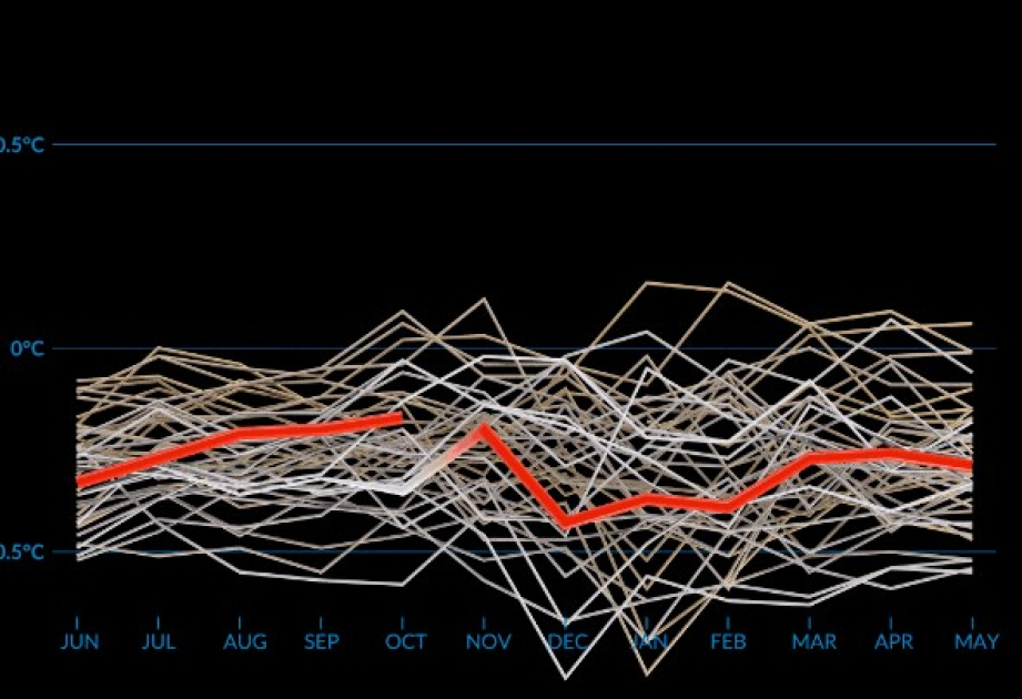 Each month of past year sees record temperatures: NASA