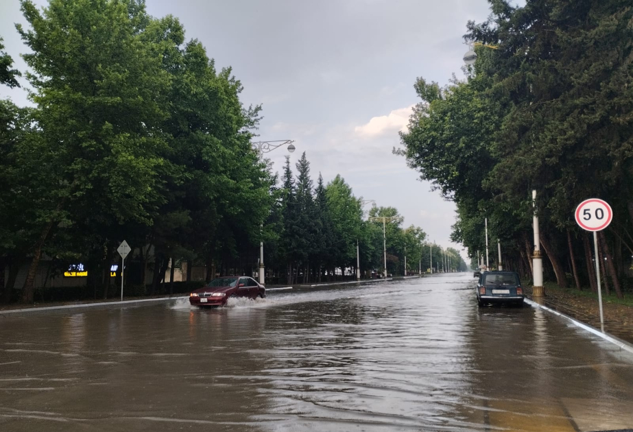 Yevlaxda güclü küləyin və yağışın fəsadları aradan qaldırılır