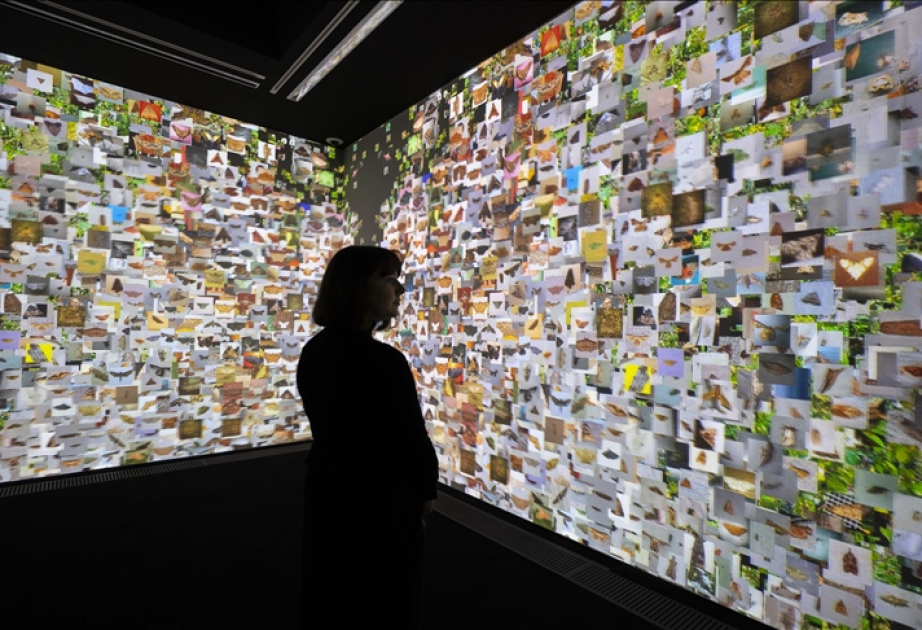 Генсек ООН призвал страны гарантировать, что ИИ не будет способствовать усилению неравенства