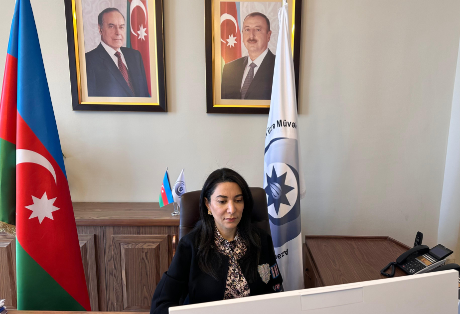 Ombudsman: İqlim dəyişikliyi kontekstində insan hüquqlarının müdafiəsi üçün qlobal strategiyaların həyata keçirilməsinə ehtiyac var
