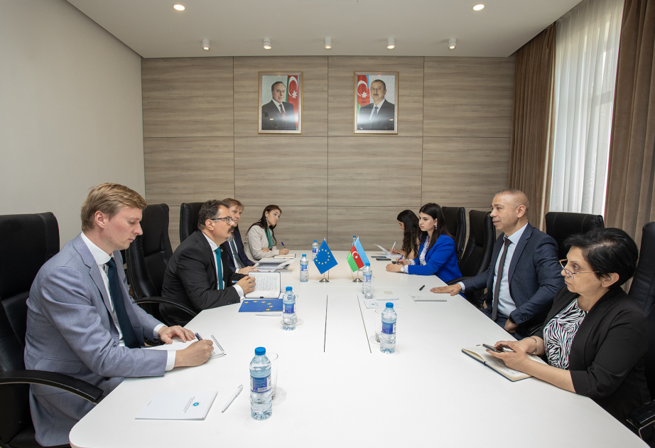 COP29 Chief Executive Officer meets with EU Ambassador to Azerbaijan