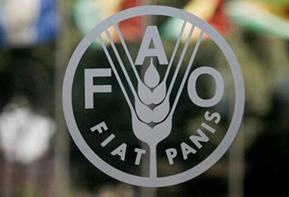 Acogerá la FAO en su sede central un evento mundial sobre bioenergía