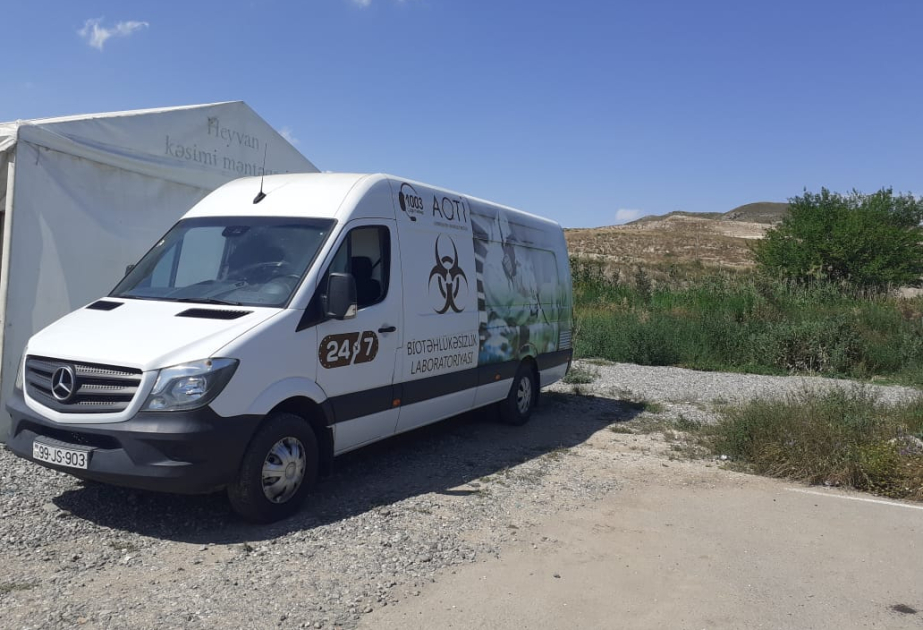 Ağalı sakinlərinin qurbanlarını kəsməsi üçün kənddə səyyar çadır məntəqəsi qurulub VİDEO