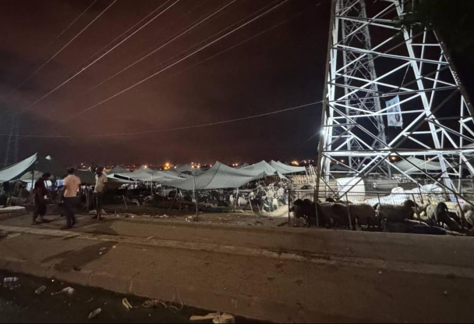 Türkiyədə avtomobil heyvan bazarına girib, səkkiz nəfər yaralanıb