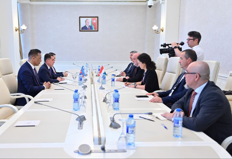 Macarıstan Milli Assambleyasının üzvləri Milli Məclisdə olublar