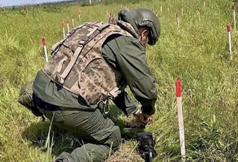 Euronews: Calls for unified global response to demining at Azerbaijan conference
