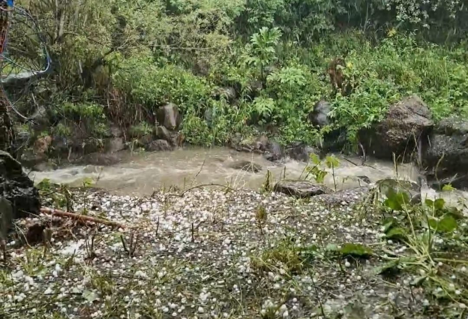 Naxçıvanın dağ kəndinə dolu düşüb, leysan davam edir