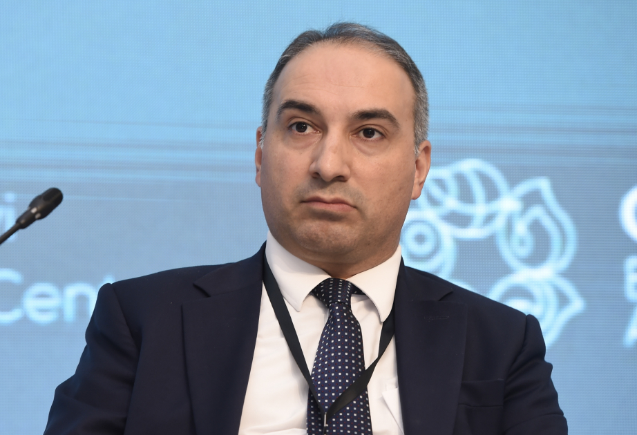 Габиб Микаиллы: COP29 в Баку окажет важное влияние на борьбу с изменением климата