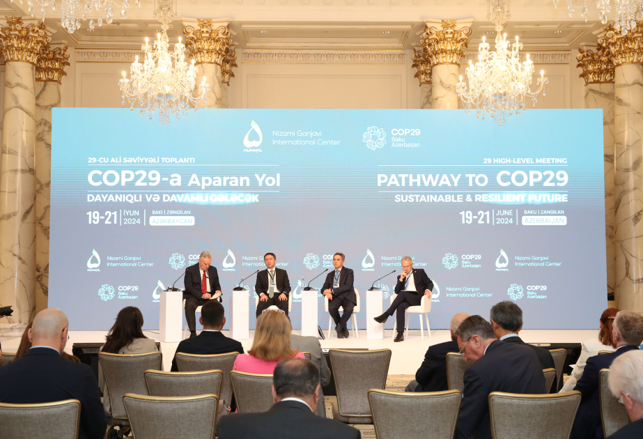 High-Level Meeting themed “Pathway to COP29: Sustainable and Resilient Future” continued with panel sessions