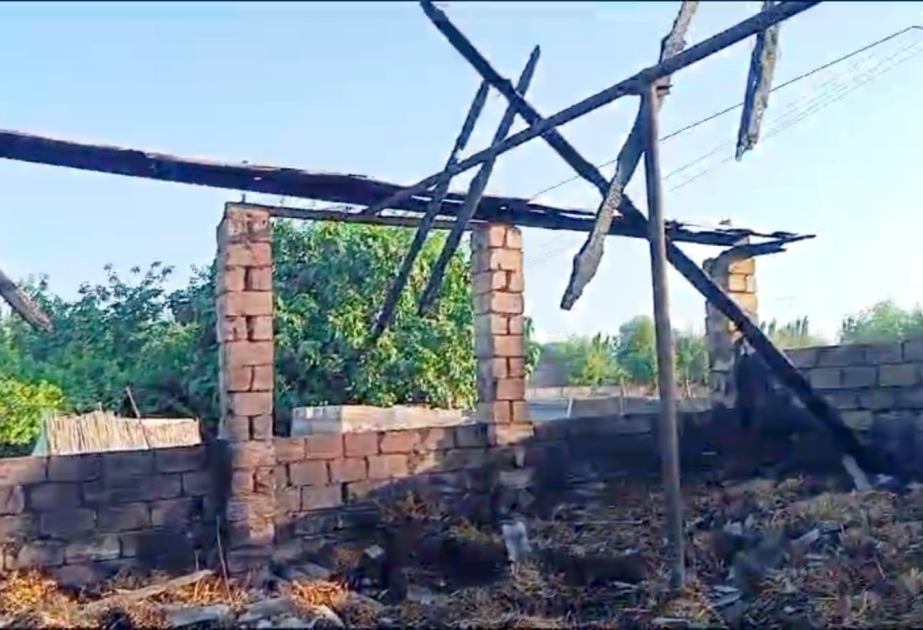 Sabirabadda yanğın zamanı iribuynuzlu heyvanlar tələf olub VİDEO