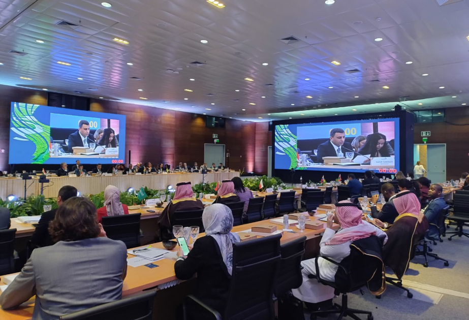 Hesablama Palatasının nümayəndə heyəti “Ali Audit Orqanlarının 3-cü SAI20” sammitində iştirak edib