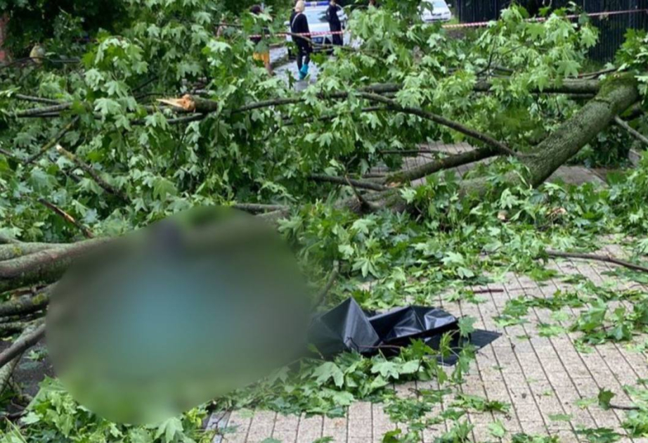 Ураган в Москве: двое погибших, более 10 пострадавших