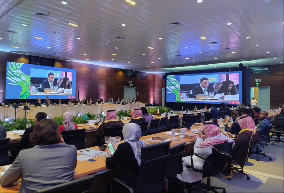 Azerbaijan joins 3rd edition of SAI20 Summit
