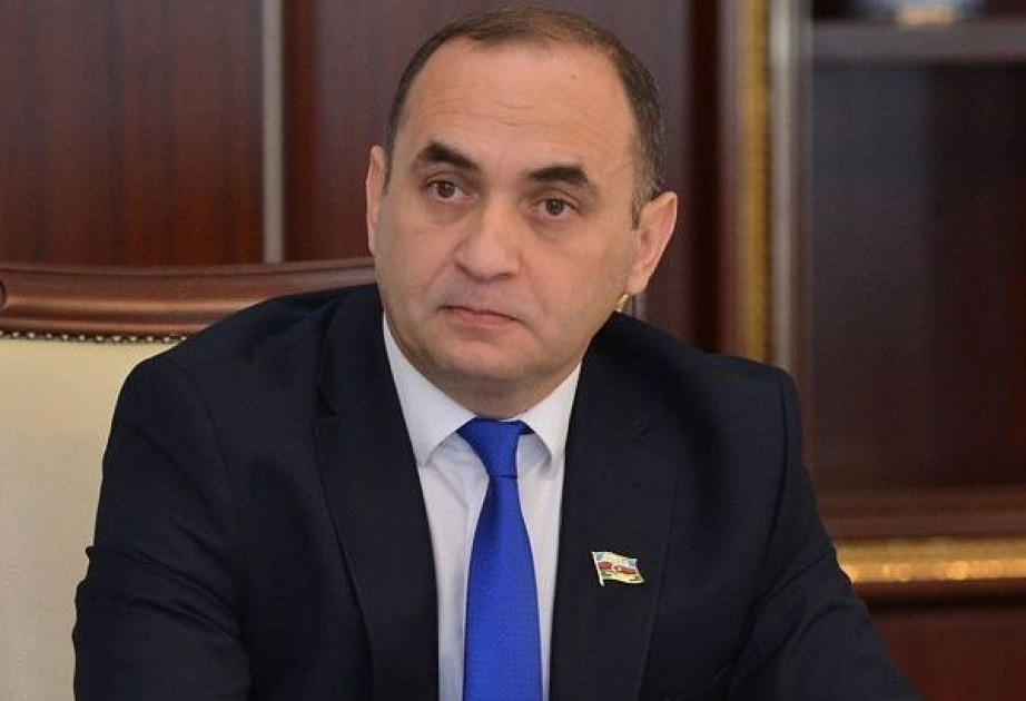 Deputat: Yaxın qohum evliliyi ilə əlaqədar ciddi cəza tədbirlərinin görülməsi mütləqdir