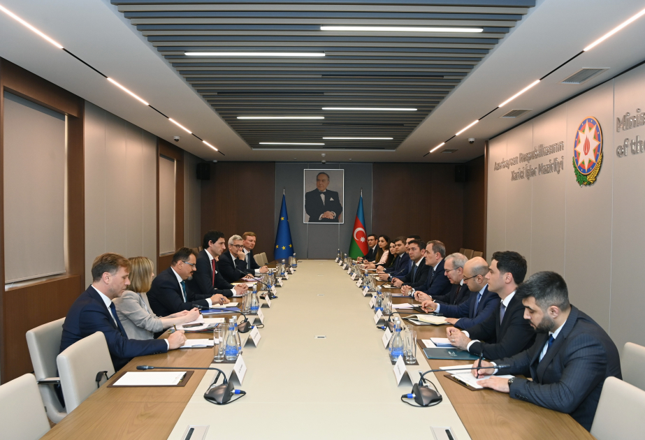 Discussions held on cooperation in implementing Azerbaijan's initiatives in addressing climate change