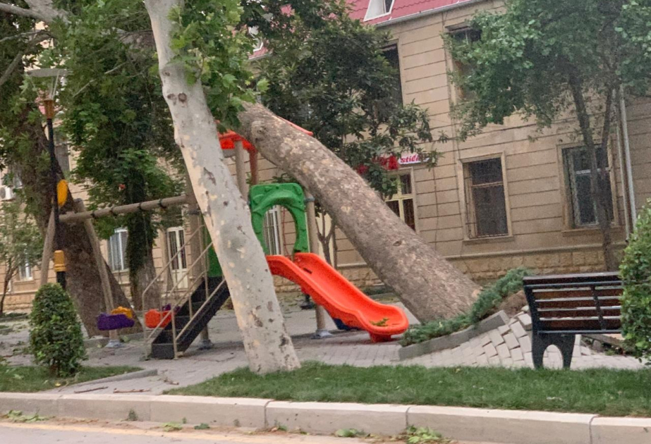 Külək Yevlaxda fəsadlar törədib