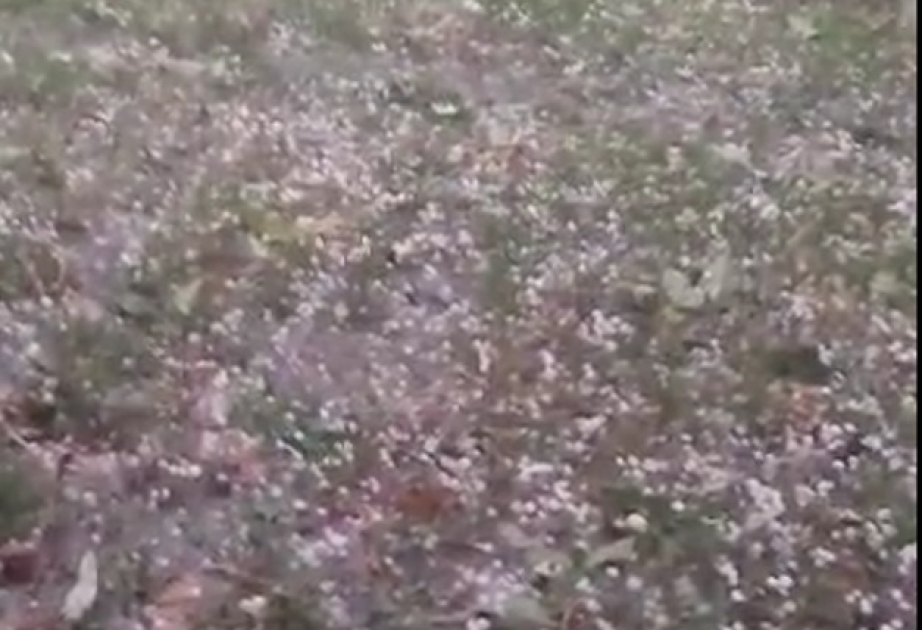 Oğuzun kəndlərinə dolu düşüb