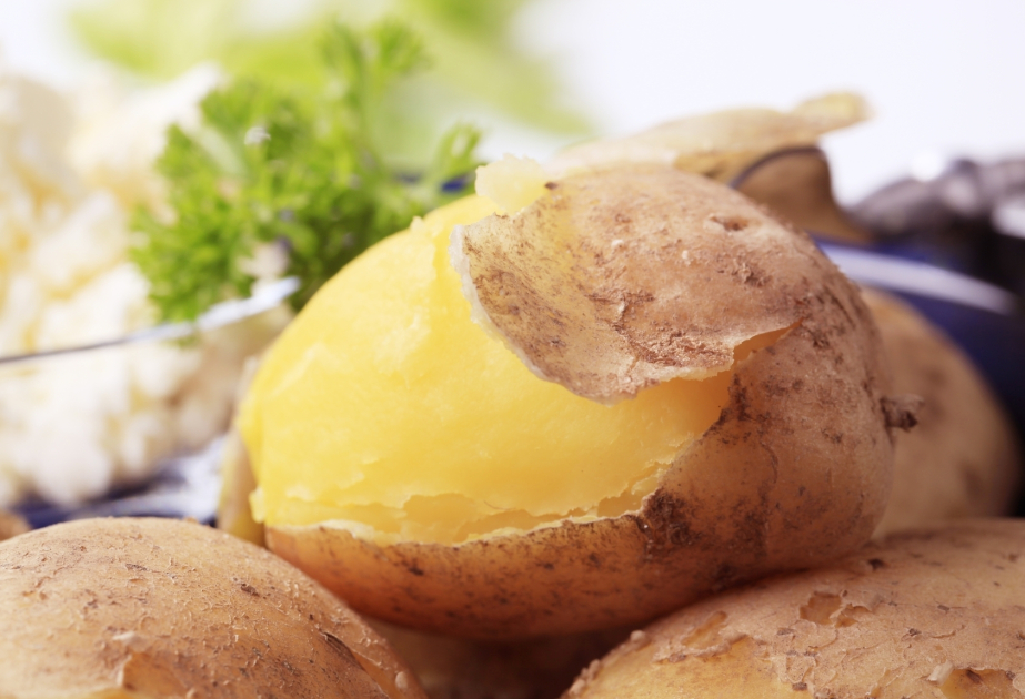 Welche Nachteile und Vorteile haben Kartoffeln?