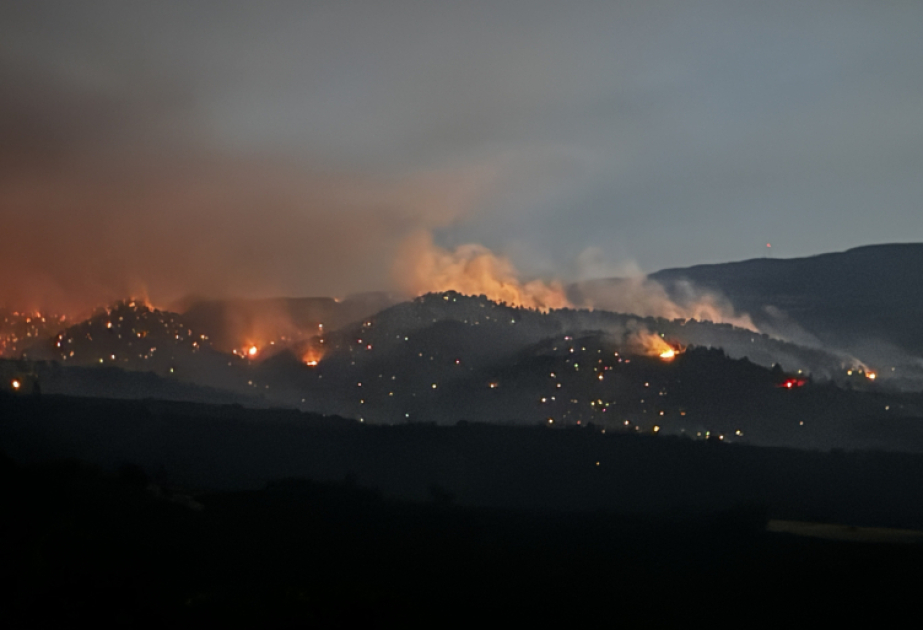В Турции за последние три недели произошло 399 лесных пожаров