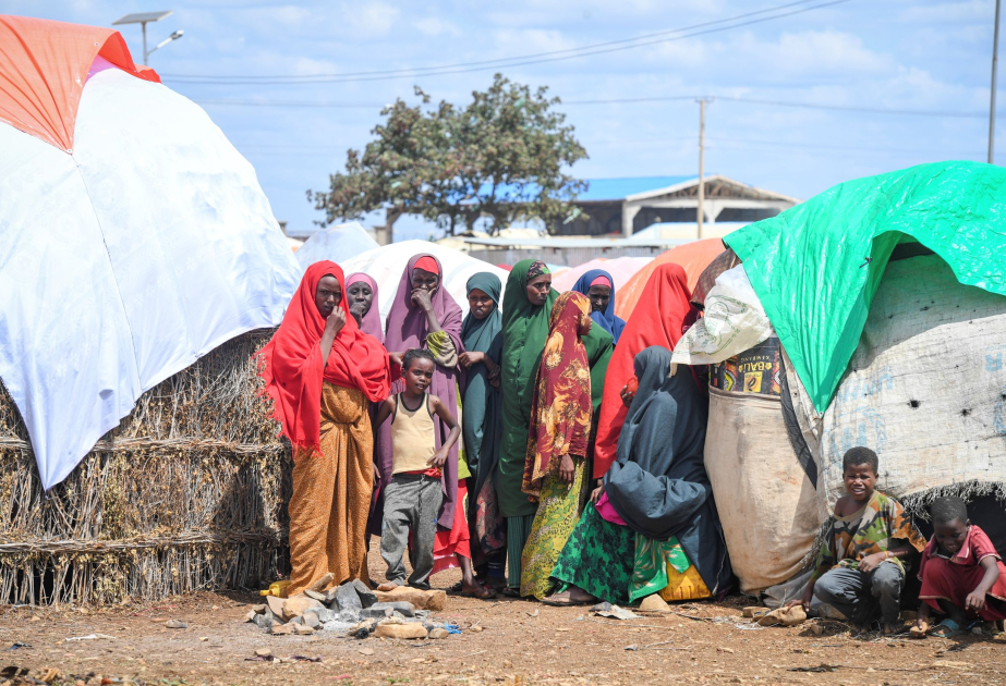 La FAO signe un accord de 25 millions de dollars en vue d'améliorer la sécurité alimentaire en Somalie