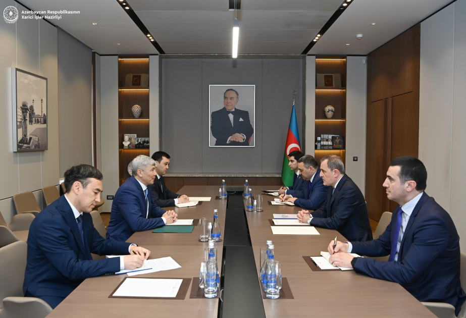 Se celebra un intercambio de opiniones sobre la realización de proyectos conjuntos entre Azerbaiyán y Kirguistán