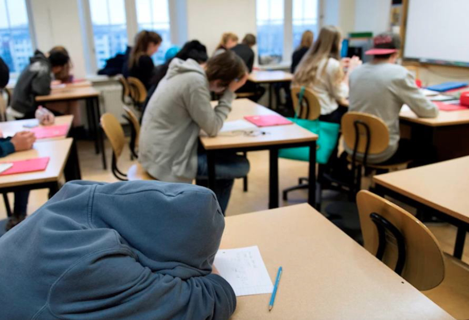 В последние 10-15 лет школьники утратили знания, считают шведские учителя