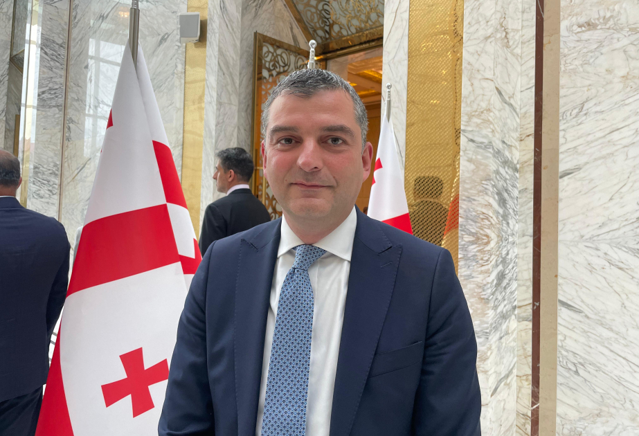 Nazir müavini: Azərbaycan Ordusunun güclü olması Gürcüstan üçün də çox önəmlidir