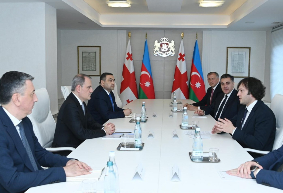 El Canciller de Azerbaiyán se reúne con el Primer Ministro de Georgia