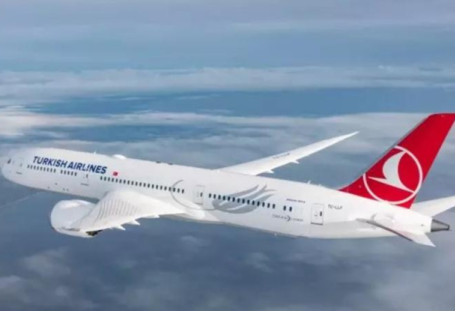 Turkish Airlines планирует за год набрать 900 пилотов и 1000 бортпроводников