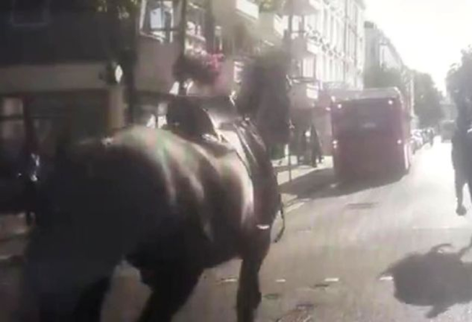 Londonda məşq zamanı hərbi atlar yenidən qaçıb